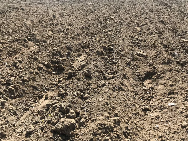 องรอยของรถแทรกเตอร บนทราย — ภาพถ่ายสต็อก