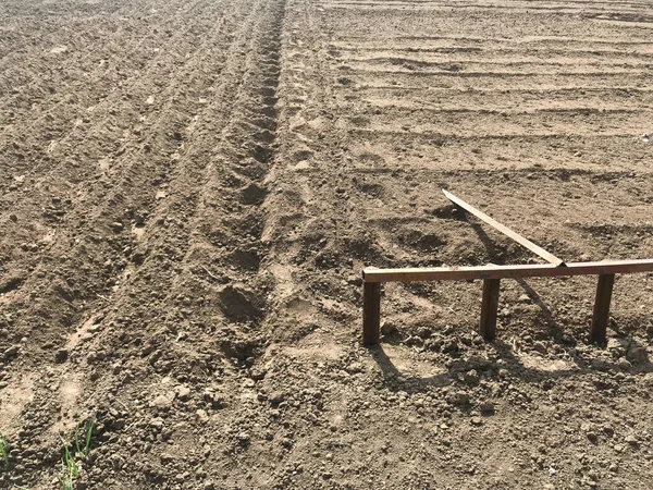 Traces Tracteurs Sur Sable — Photo