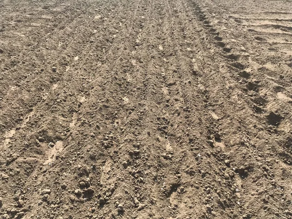 Traces Tracteurs Sur Sable — Photo