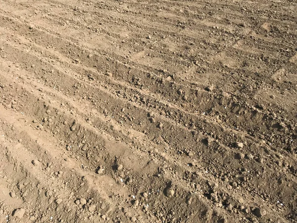 Traces Tractors Sand — Stock Photo, Image
