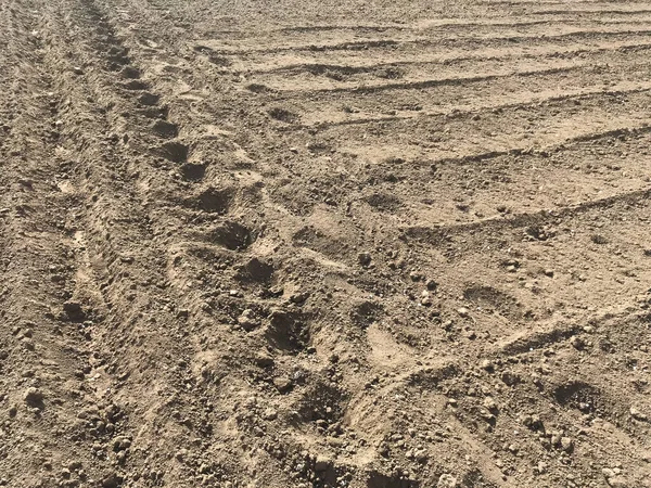 Traces Tractors Sand — Stock Photo, Image