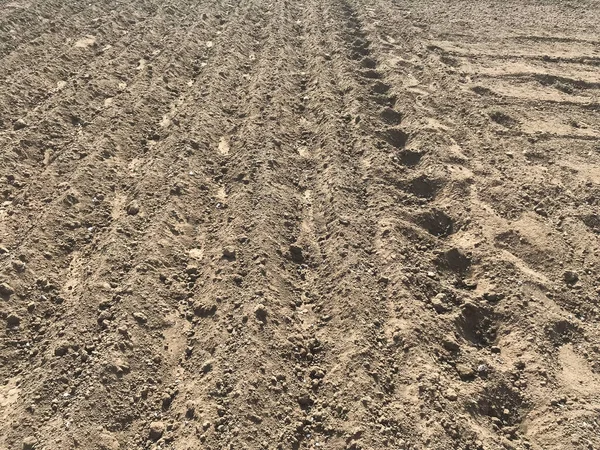 Traces Tractors Sand — Stock Photo, Image