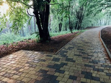 Yeşil bitkilerle dolu bahçe taşı patikası, gündüz vakti tuğla kaldırım. 