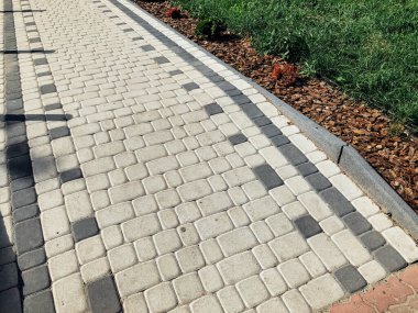 Yeşil bitkilerle dolu bahçe taşı patikası, gündüz vakti tuğla kaldırım. 