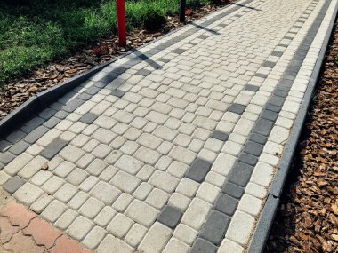 Yeşil bitkilerle dolu bahçe taşı patikası, gündüz vakti tuğla kaldırım. 