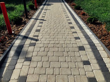 Yeşil bitkilerle dolu bahçe taşı patikası, gündüz vakti tuğla kaldırım. 