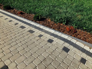 Yeşil bitkilerle dolu bahçe taşı patikası, gündüz vakti tuğla kaldırım. 