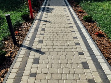Yeşil bitkilerle dolu bahçe taşı patikası, gündüz vakti tuğla kaldırım. 