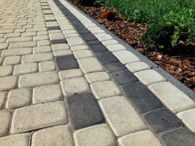 Yeşil bitkilerle dolu bahçe taşı patikası, gündüz vakti tuğla kaldırım. 