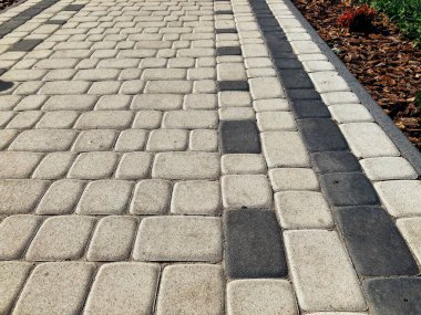 Yeşil bitkilerle dolu bahçe taşı patikası, gündüz vakti tuğla kaldırım. 