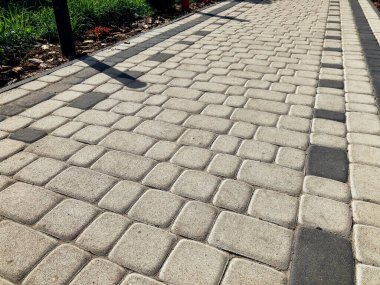 Yeşil bitkilerle dolu bahçe taşı patikası, gündüz vakti tuğla kaldırım. 