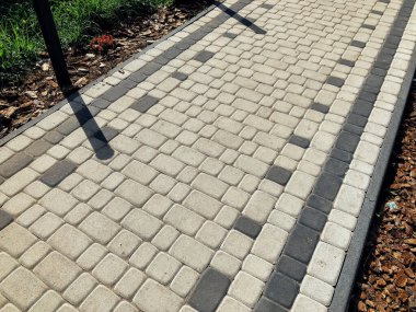 Yeşil bitkilerle dolu bahçe taşı patikası, gündüz vakti tuğla kaldırım. 