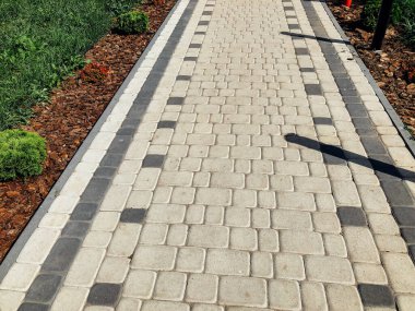 Yeşil bitkilerle dolu bahçe taşı patikası, gündüz vakti tuğla kaldırım. 
