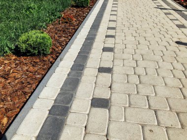 Yeşil bitkilerle dolu bahçe taşı patikası, gündüz vakti tuğla kaldırım. 