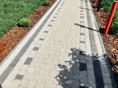 Yeşil bitkilerle dolu bahçe taşı patikası, gündüz vakti tuğla kaldırım. 