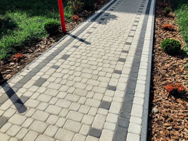 Yeşil bitkilerle dolu bahçe taşı patikası, gündüz vakti tuğla kaldırım. 