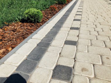 Yeşil bitkilerle dolu bahçe taşı patikası, gündüz vakti tuğla kaldırım. 