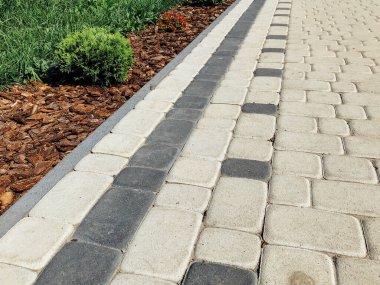 Yeşil bitkilerle dolu bahçe taşı patikası, gündüz vakti tuğla kaldırım. 