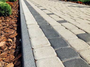 Yeşil bitkilerle dolu bahçe taşı patikası, gündüz vakti tuğla kaldırım. 