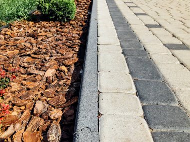 Yeşil bitkilerle dolu bahçe taşı patikası, gündüz vakti tuğla kaldırım. 