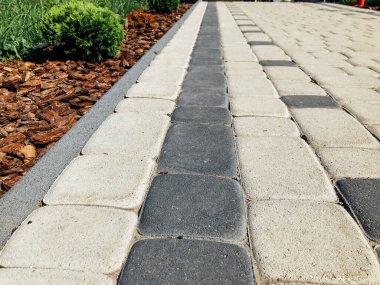 Yeşil bitkilerle dolu bahçe taşı patikası, gündüz vakti tuğla kaldırım. 