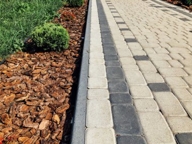 Yeşil bitkilerle dolu bahçe taşı patikası, gündüz vakti tuğla kaldırım. 