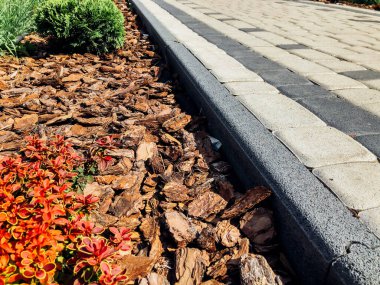 Yeşil bitkilerle dolu bahçe taşı patikası, gündüz vakti tuğla kaldırım. 