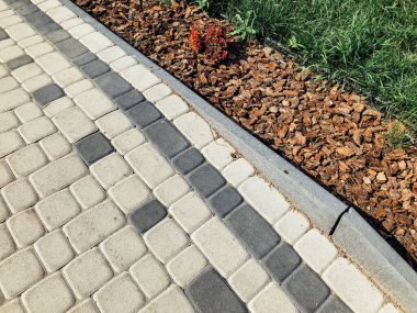 Yeşil bitkilerle dolu bahçe taşı patikası, gündüz vakti tuğla kaldırım. 