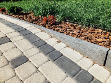 Yeşil bitkilerle dolu bahçe taşı patikası, gündüz vakti tuğla kaldırım. 