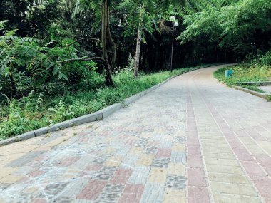 Yeşil bitkilerle dolu bahçe taşı patikası, gündüz vakti tuğla kaldırım. 