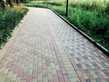Yeşil bitkilerle dolu bahçe taşı patikası, gündüz vakti tuğla kaldırım. 