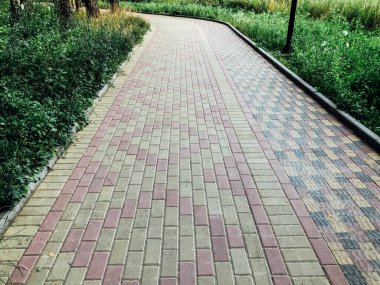 Yeşil bitkilerle dolu bahçe taşı patikası, gündüz vakti tuğla kaldırım. 