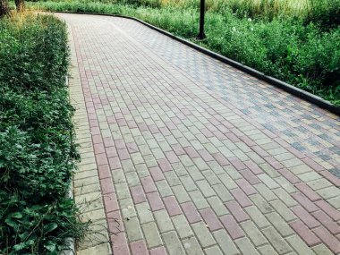 Yeşil bitkilerle dolu bahçe taşı patikası, gündüz vakti tuğla kaldırım. 