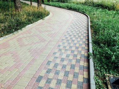 Yeşil bitkilerle dolu bahçe taşı patikası, gündüz vakti tuğla kaldırım. 