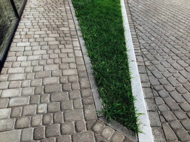 Yeşil bitkilerle dolu bahçe taşı patikası, gündüz vakti tuğla kaldırım. 