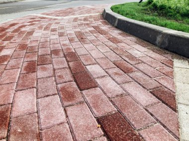 Yeşil bitkilerle dolu bahçe taşı patikası, gündüz vakti tuğla kaldırım. 