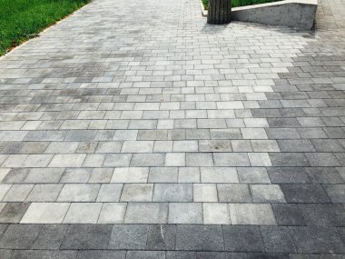 Yeşil bitkilerle dolu bahçe taşı patikası, gündüz vakti tuğla kaldırım. 