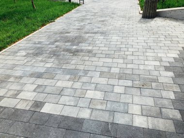 Yeşil bitkilerle dolu bahçe taşı patikası, gündüz vakti tuğla kaldırım. 