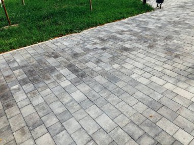 Yeşil bitkilerle dolu bahçe taşı patikası, gündüz vakti tuğla kaldırım. 