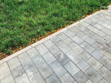 Yeşil bitkilerle dolu bahçe taşı patikası, gündüz vakti tuğla kaldırım. 