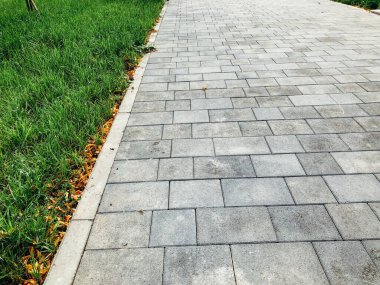 Yeşil bitkilerle dolu bahçe taşı patikası, gündüz vakti tuğla kaldırım. 