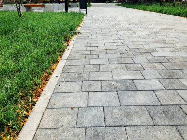 Yeşil bitkilerle dolu bahçe taşı patikası, gündüz vakti tuğla kaldırım. 