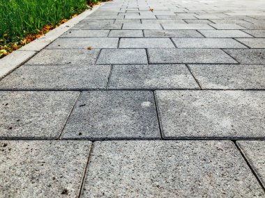 Yeşil bitkilerle dolu bahçe taşı patikası, gündüz vakti tuğla kaldırım. 