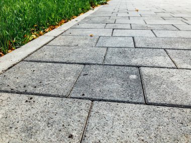 Yeşil bitkilerle dolu bahçe taşı patikası, gündüz vakti tuğla kaldırım. 