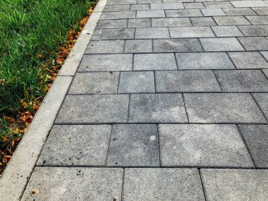 Yeşil bitkilerle dolu bahçe taşı patikası, gündüz vakti tuğla kaldırım. 