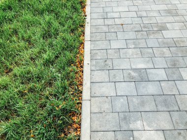 Yeşil bitkilerle dolu bahçe taşı patikası, gündüz vakti tuğla kaldırım. 