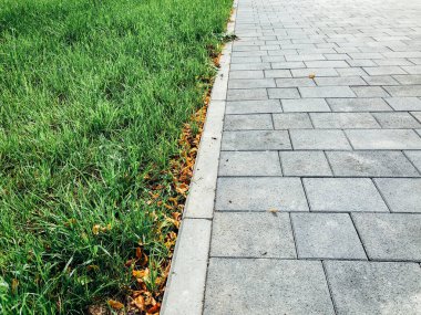 Yeşil bitkilerle dolu bahçe taşı patikası, gündüz vakti tuğla kaldırım. 