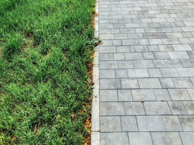 Yeşil bitkilerle dolu bahçe taşı patikası, gündüz vakti tuğla kaldırım. 