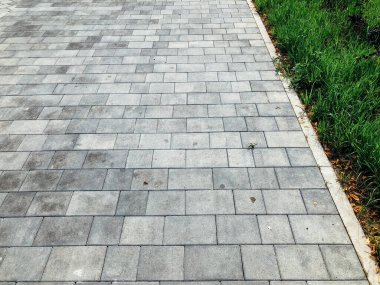 Yeşil bitkilerle dolu bahçe taşı patikası, gündüz vakti tuğla kaldırım. 