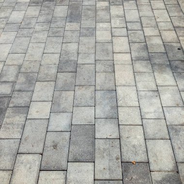 Gündüzleri şık bahçede çeşitli renklerde birbirine yakın köşeler.